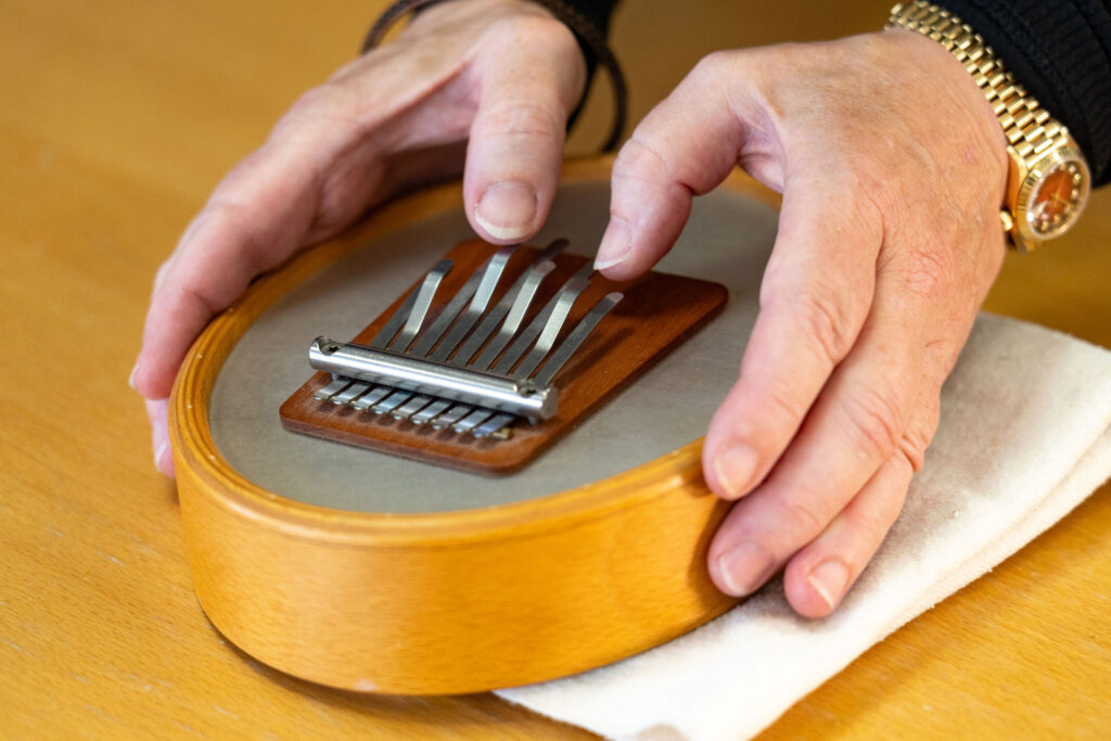 Evelyn's hands, playing a Sansula, from The Evelyn Glennie Collection.